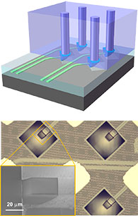 programmable photonics