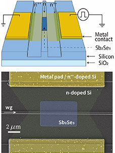 programmable photonics