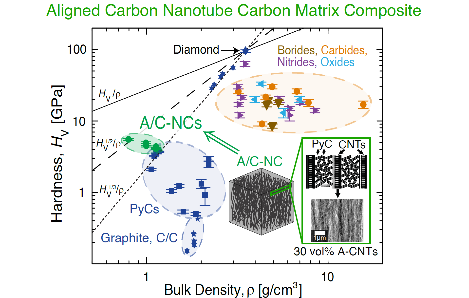 Carbon TOC 2023