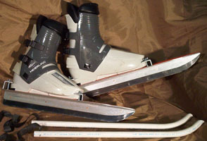 skates sideview